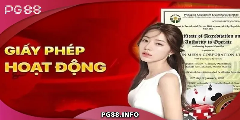 PG88 MSUS - Link Truy Cập Trang Chủ PG88.COM Chính Thức 2026 Nhà cái có giấy phép hoạt động chuẩn quốc tế