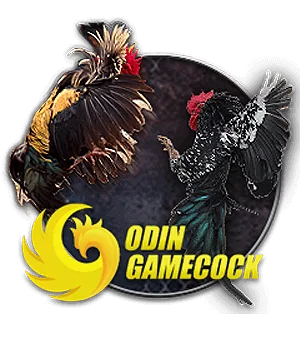 PG88 MSUS - Link Truy Cập Trang Chủ PG88.COM Chính Thức 2026 sub animal od cock